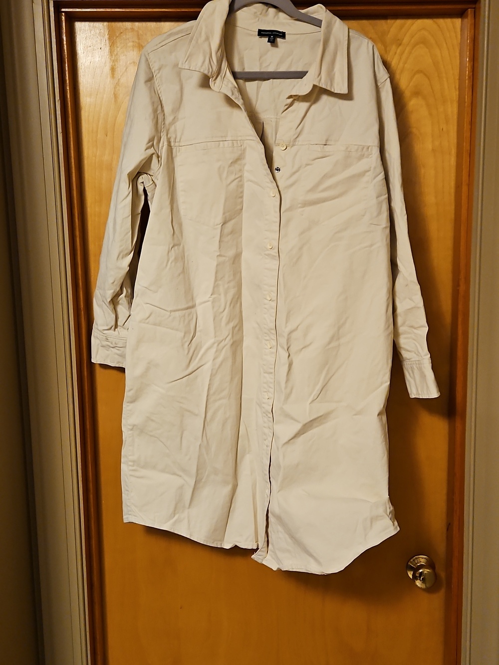 Carefree Stretch Twill Shirtdress